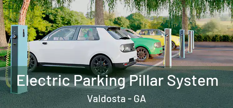 Electric Parking Pillar System Valdosta - GA