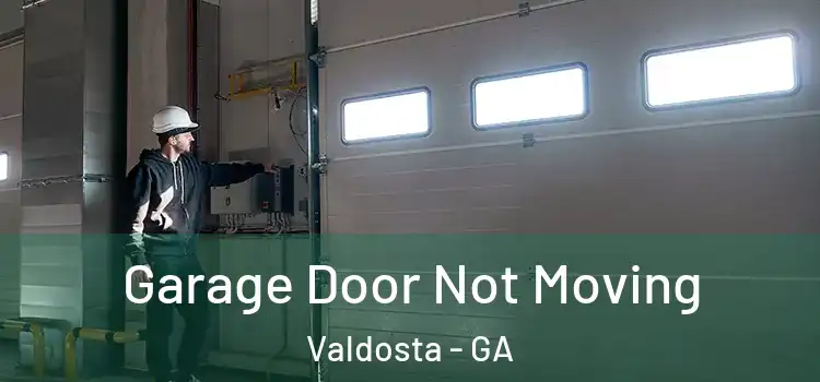  Garage Door Not Moving Valdosta - GA