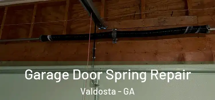 Garage Door Spring Repair Valdosta - GA