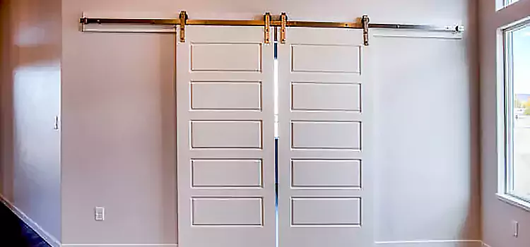 Glass Barn Door with Installation Hardware Kit Valdosta